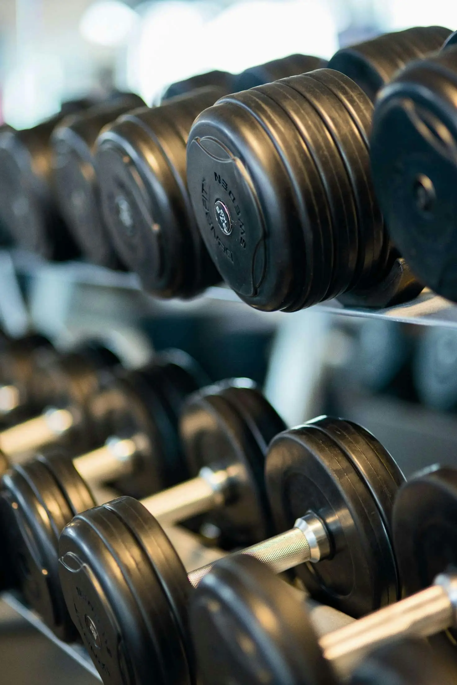 1 on 1 personal trainer