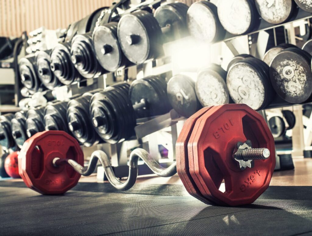 dumbbell rack strength training equipment in gym