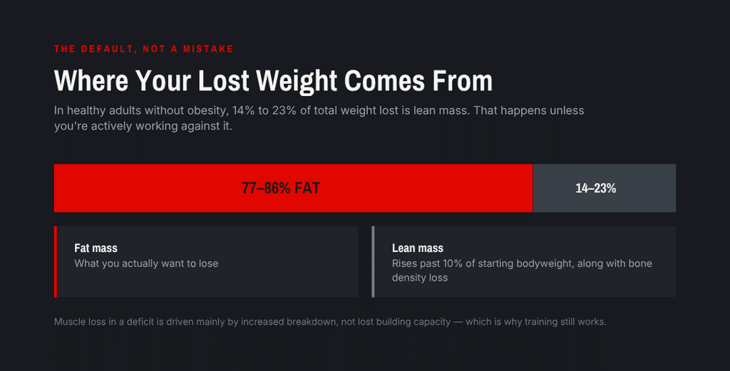 where your weight loss comes from