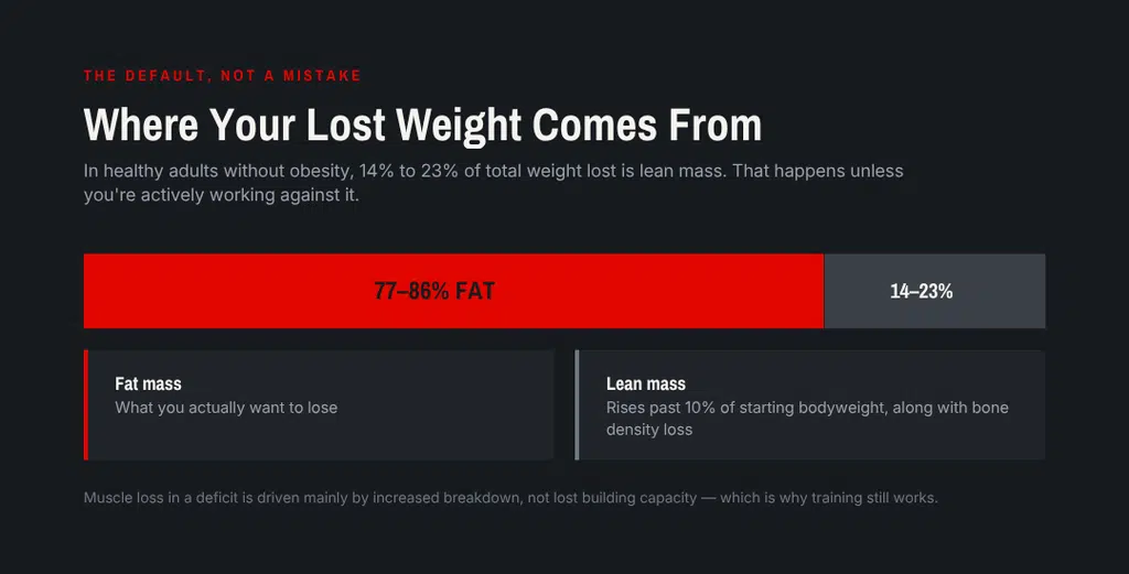 where your weight loss comes from