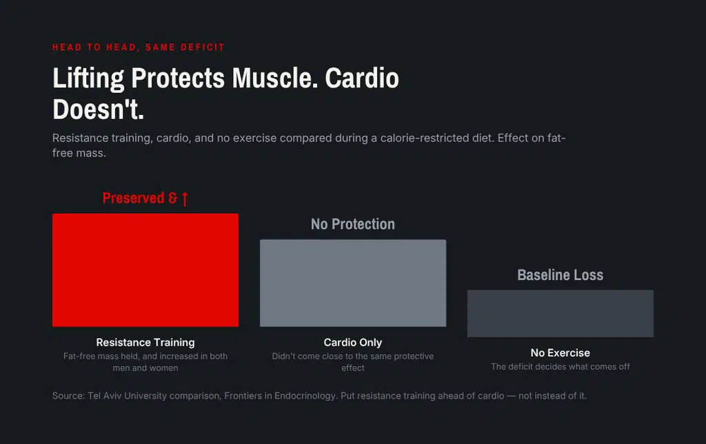 lifitng vs cardio