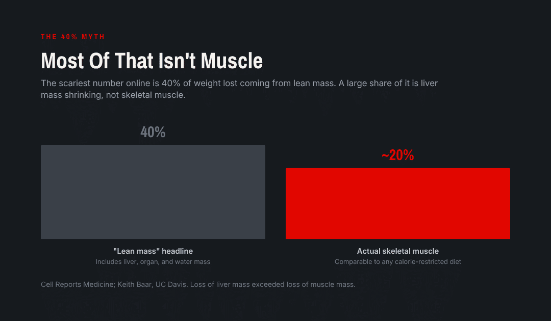 How much fat loss is muscle